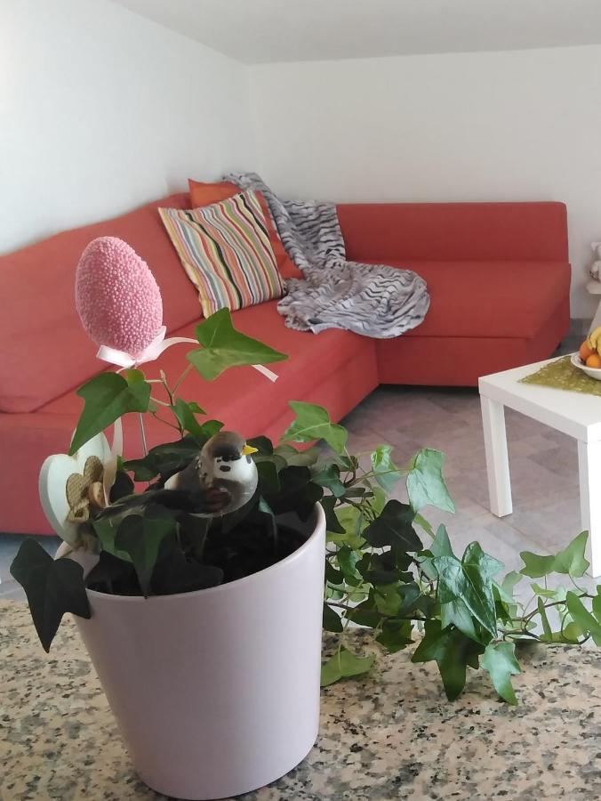 Apartments Nina Ravni Quarto foto
